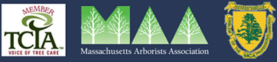 Certified Mass Arborist License #1272